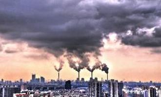 山东生物多样性保护和可持续利用案例推介：潍坊寿光打造“中国蔬菜种业硅谷”